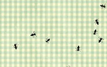 Bug Destroyer game preview