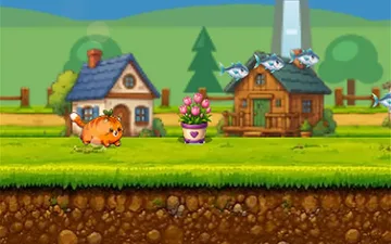 Run Kitty, Run
