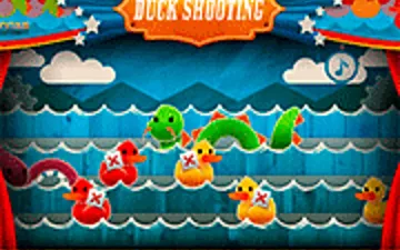 Duck Shooting