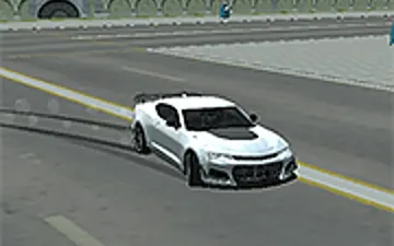Rock and Race Driver