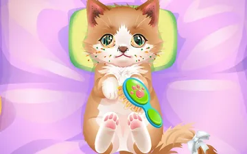 ASMR Kitty Treatment