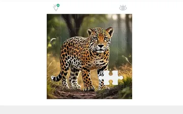 Jigsaw Puzzles