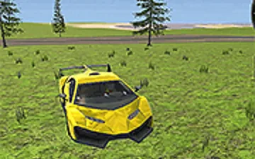 Car Simulation