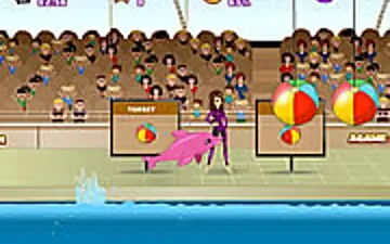 My Dolphin Show
