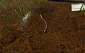 Worm game preview
