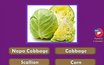 Guess the Vegetables Quiz