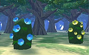 Mystic Woods