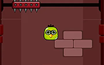 Chicky Jumper