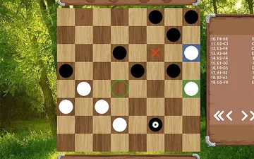 Classic Checkers: Forest