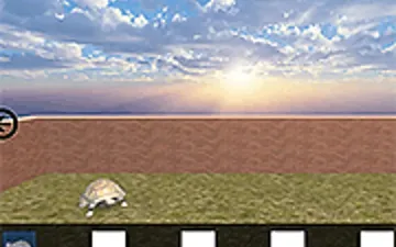 Escape from the House with Turtles game preview
