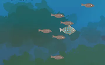 Fish Companions game preview