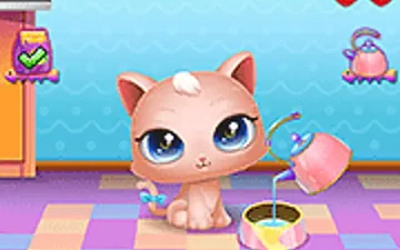 Cute Kitty Care