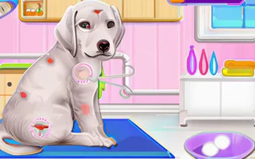 Labrador Puppy Day Care