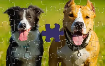 Cozy Jigsaw Puzzles
