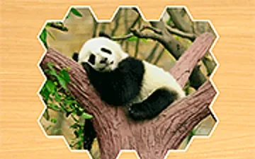 Jigsaw Puzzles Hexa game preview