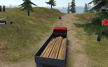 Truck Driver Crazy Road