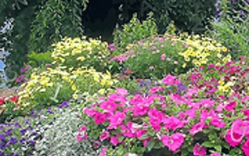 Flower Garden Html5 game preview