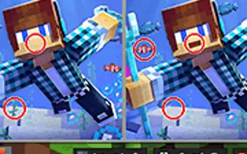 Minecraft Differences