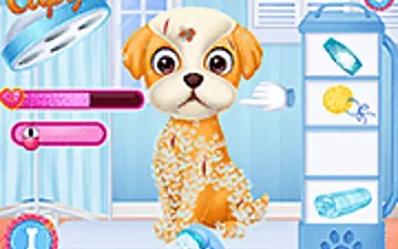 Princesses Puppy Care