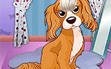 My Pet Salon