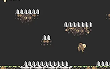 Mushroom Gathering
