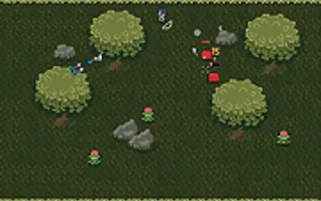 A Forest Walk