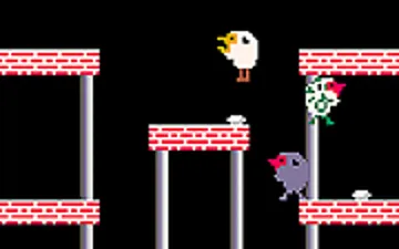 Bird Head
