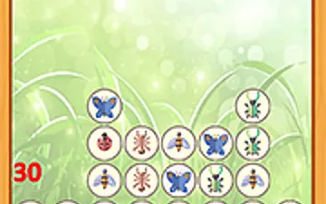 Bugs Match