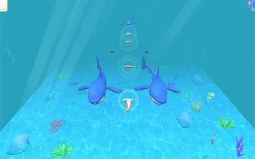 Fish Feed