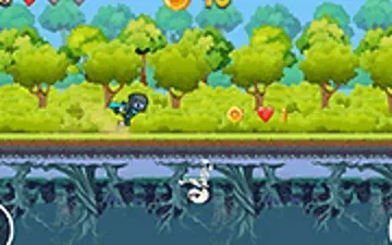 Ninja Run Up and Down