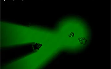 RGB Pigs