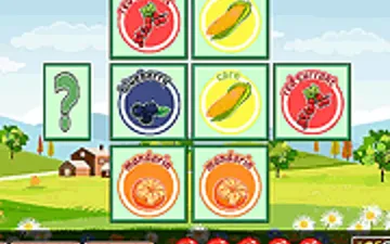 Fruity Veggie Memory
