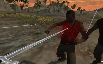 Pirates Aggression