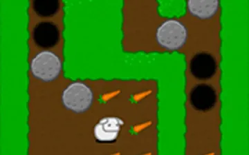 24 Carrots