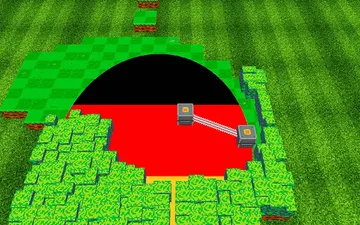 Flaggy Reveal