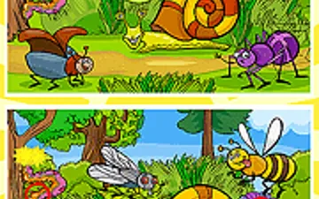 Insects Photo Differences