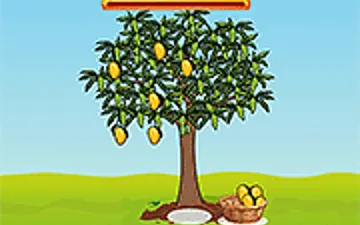 Life of a Tree