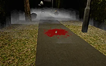 Night Walk
