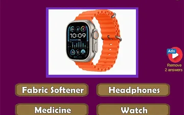 Guess the Everyday Items Quiz game preview