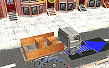 Indian Cargo Driver