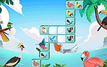 Jolly Jong Birds