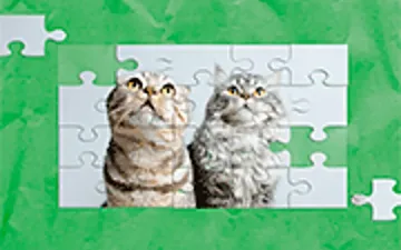 Cute Cat's Jigsaw Puzzle