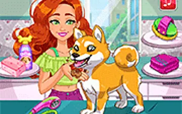 Jessie's Shiba Dog