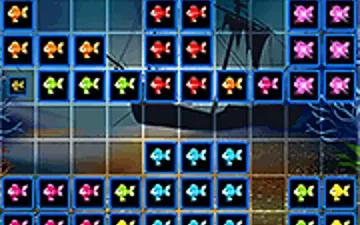 1010 Fish Blocks