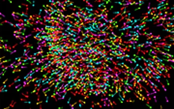 Galaxy Particles: Calm