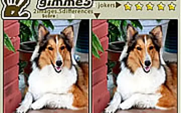 Gimme5 - Dogs