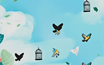Help the Bird