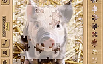 Jigsaw Puzzle Deluxe