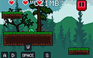 Lost in the Woods