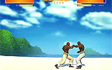 Capoeira Fighter